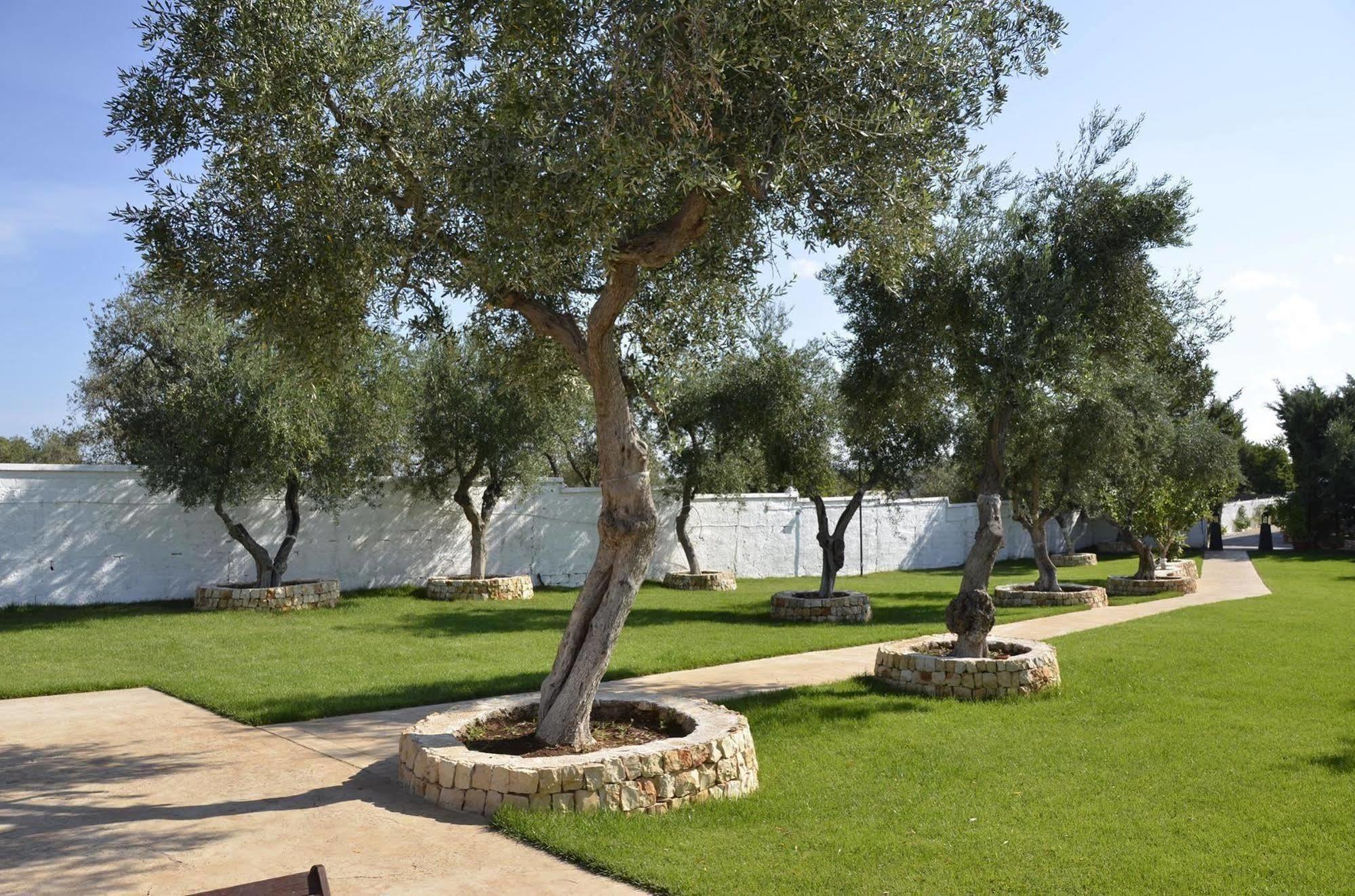 Hotel Villa Pirotta Sannicandro di Bari Buitenkant foto